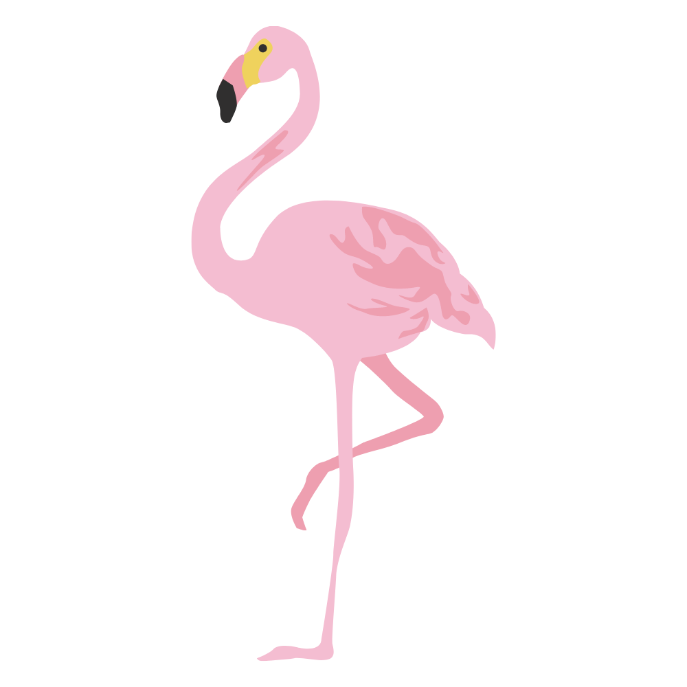Frankie web design